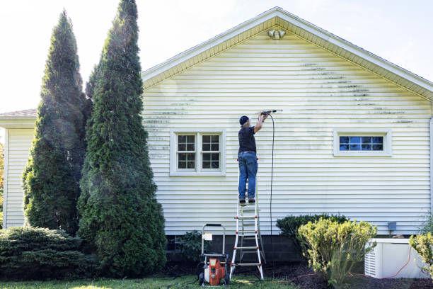 Best Pressure Washing Near Me  in East Basin, UT